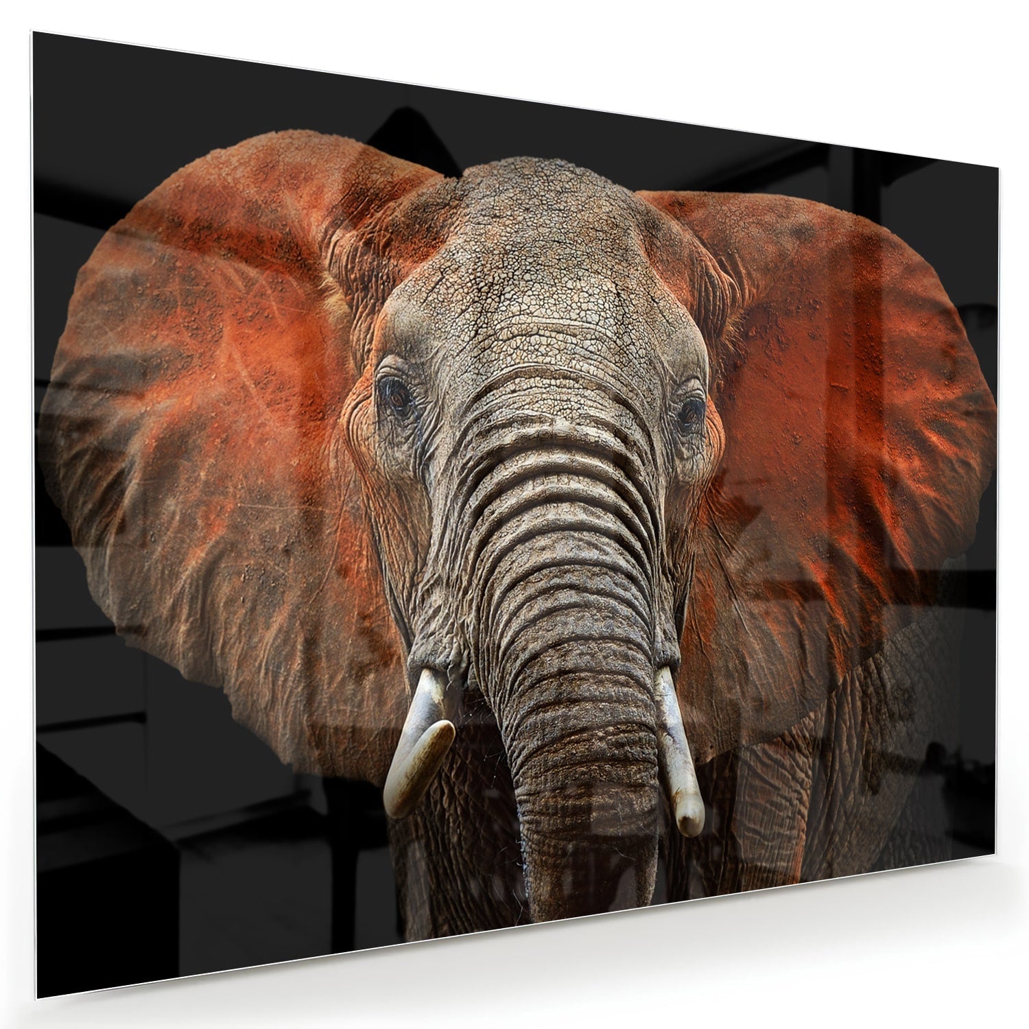 Beeindruckendes Glasbild mit einem Elefanten
