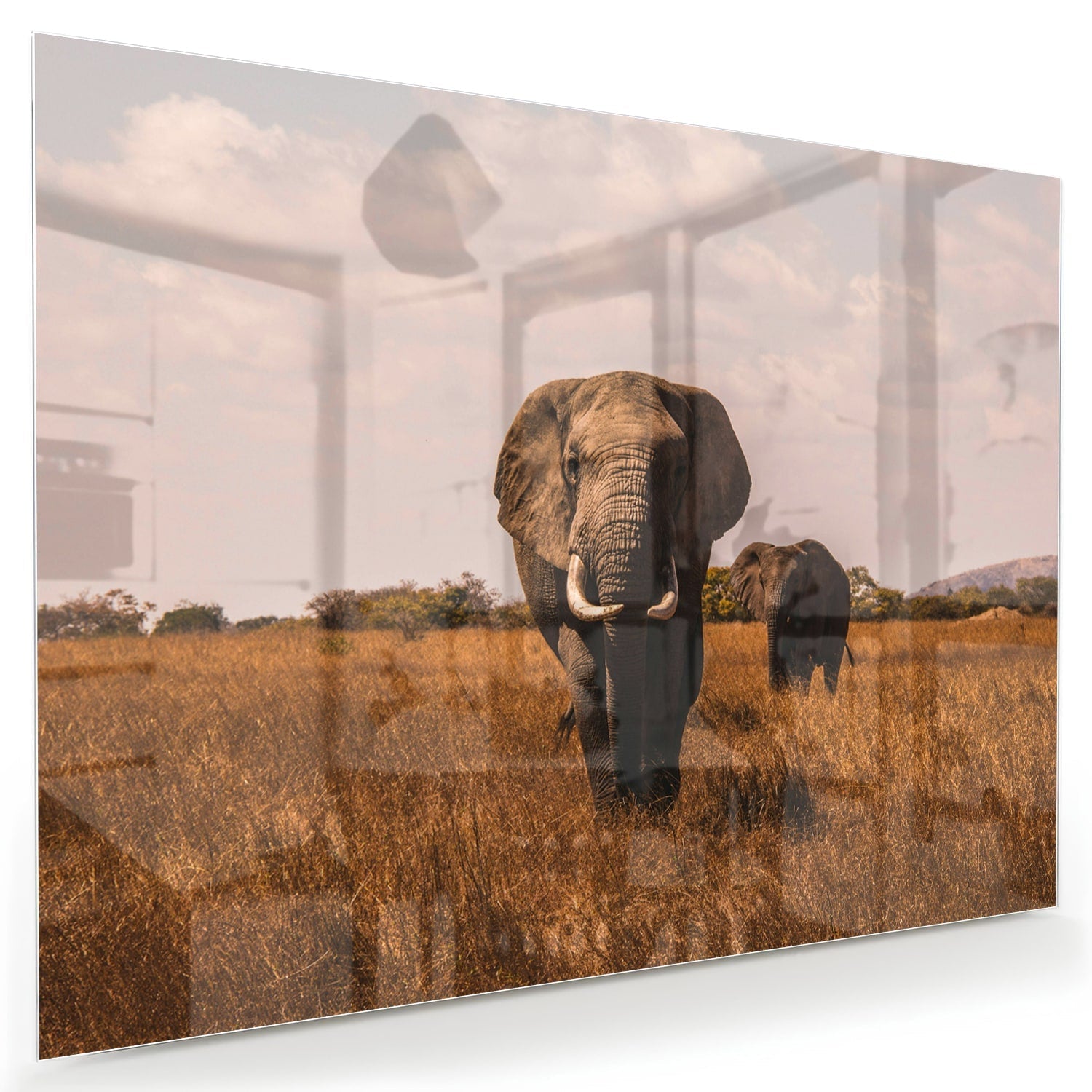 Wunderschönes Glasbild mit Elefanten in der Natur