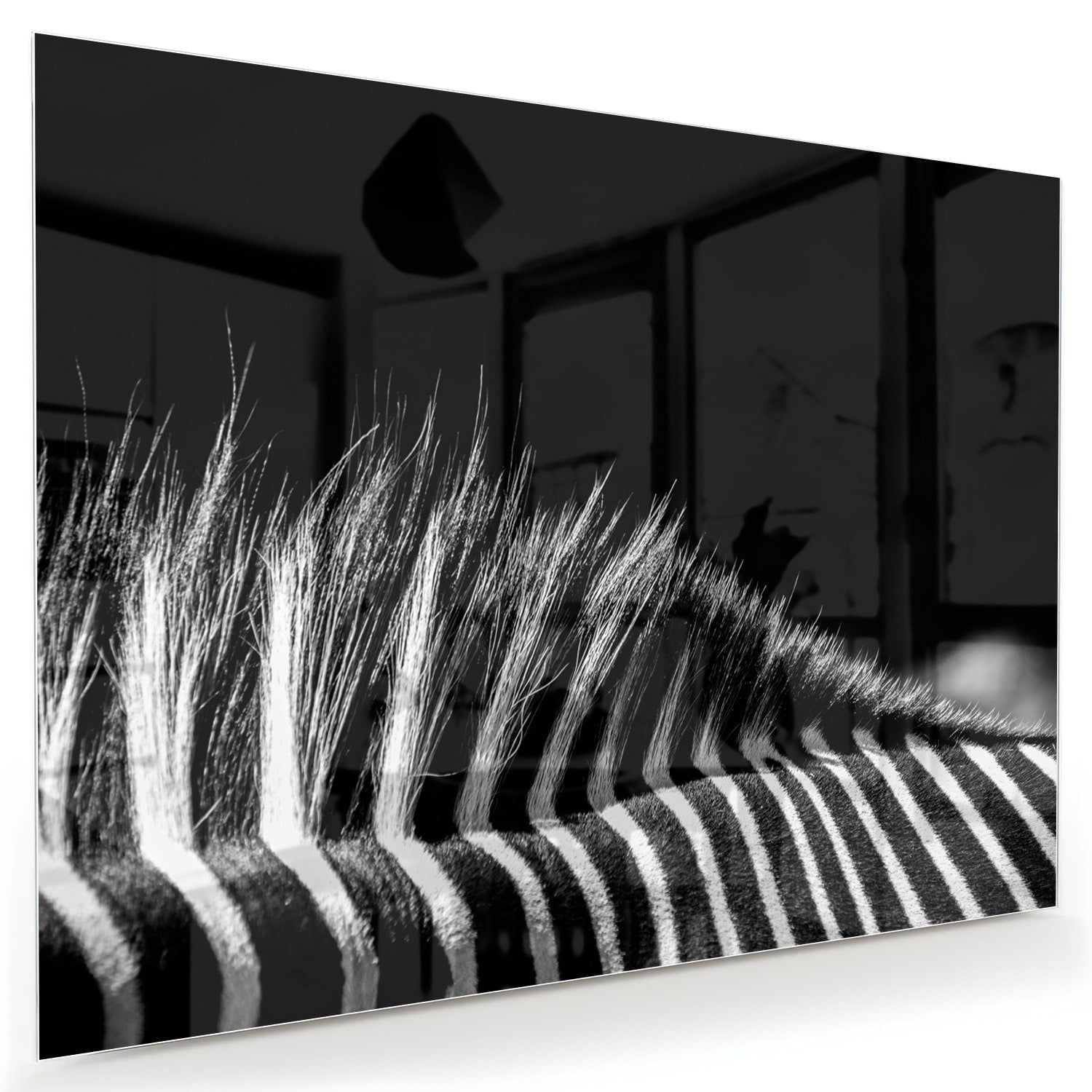 Modernes Schwarz-Weiß-Glasbild