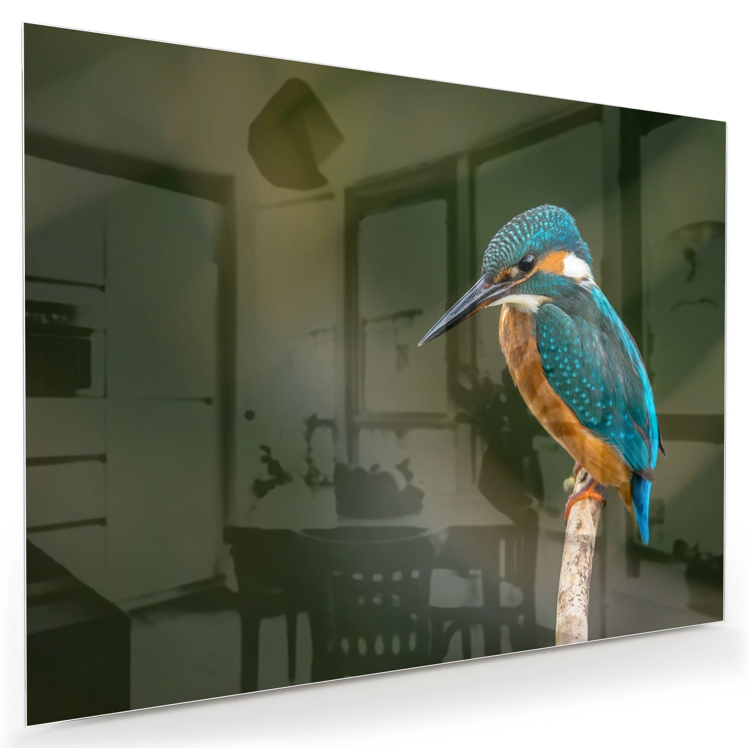 Elegantes Glasbild mit einem Eisvogel