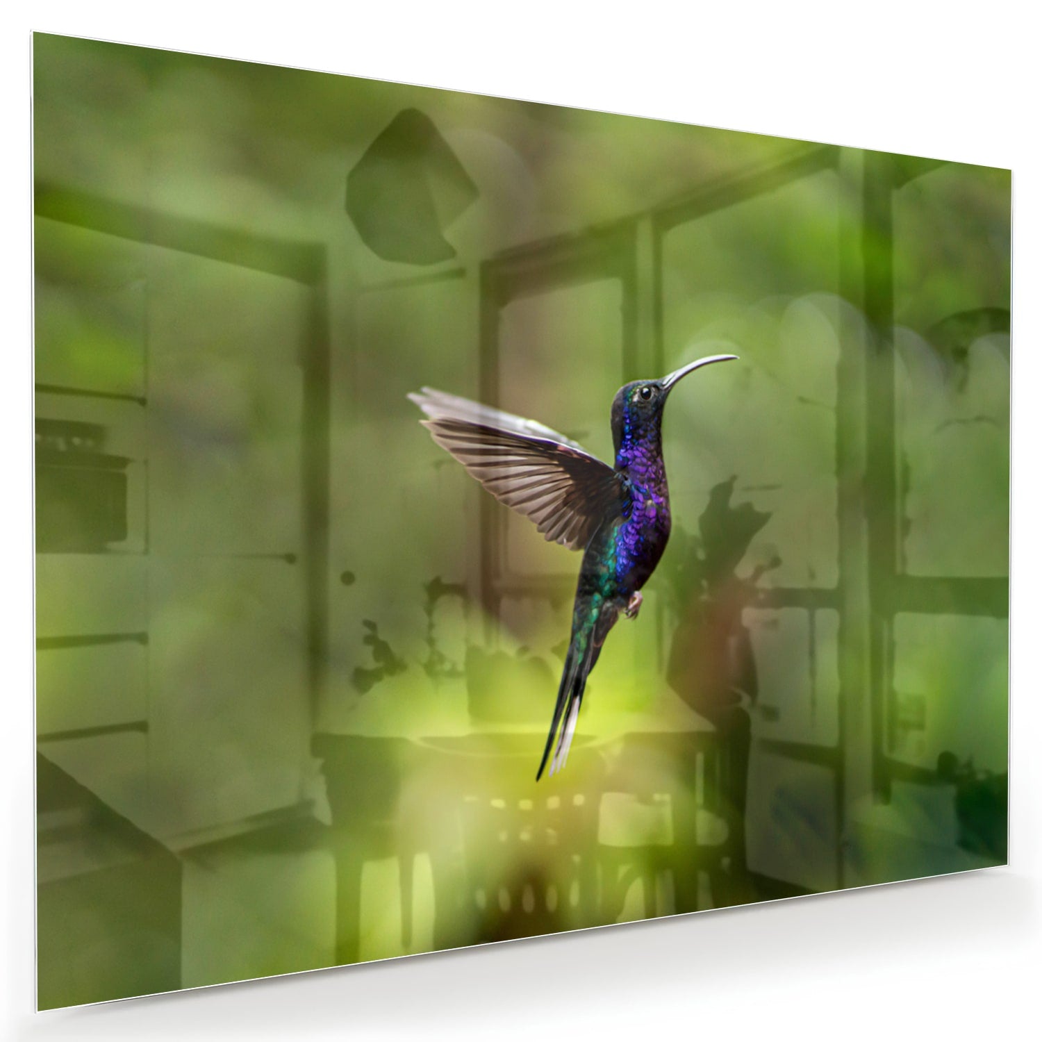 Glasbild mit fliegendem Kolibri inmitten grüner Ruhe