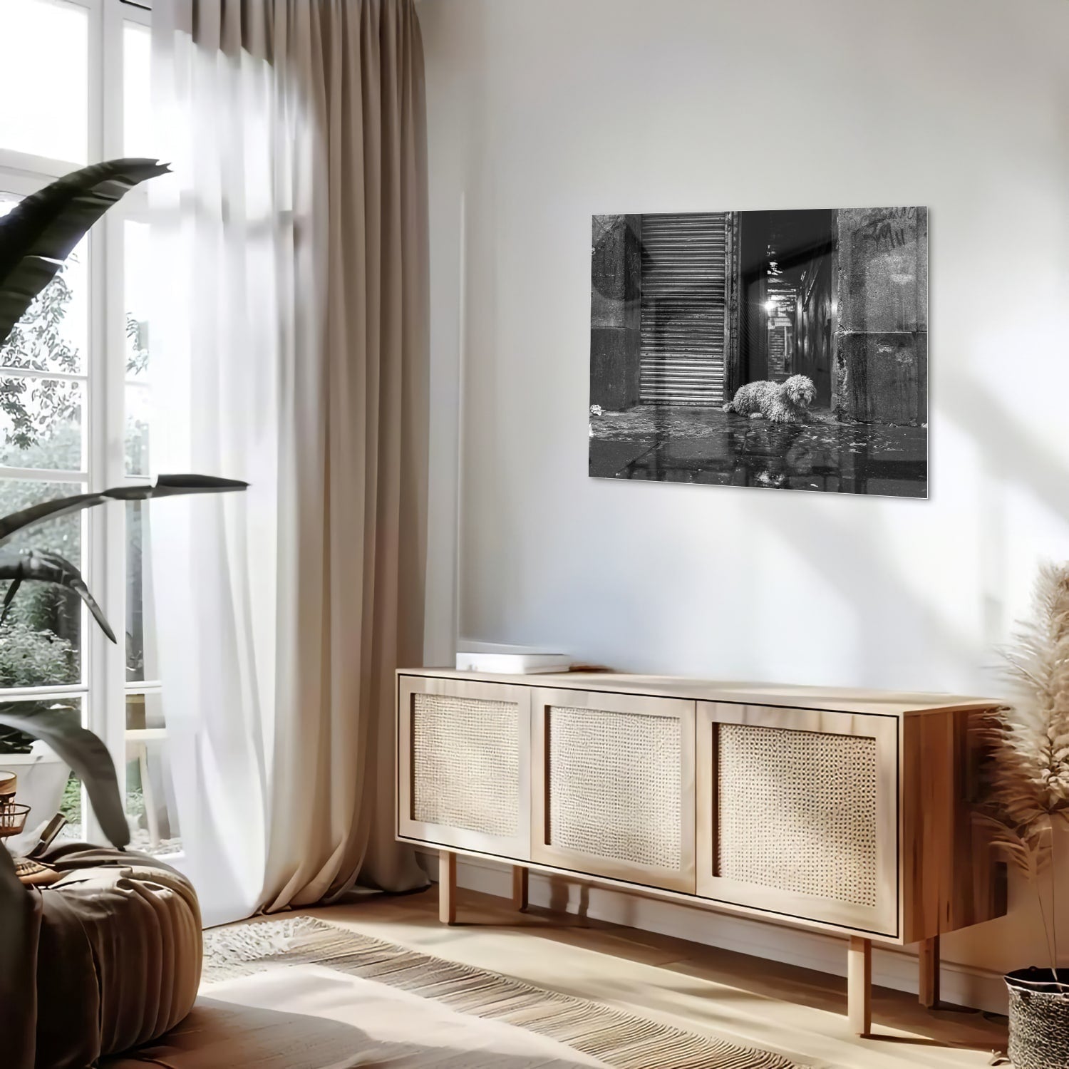 Schwarz-Weiß-Glasbild mit Hund in regnerischer Straßenszene