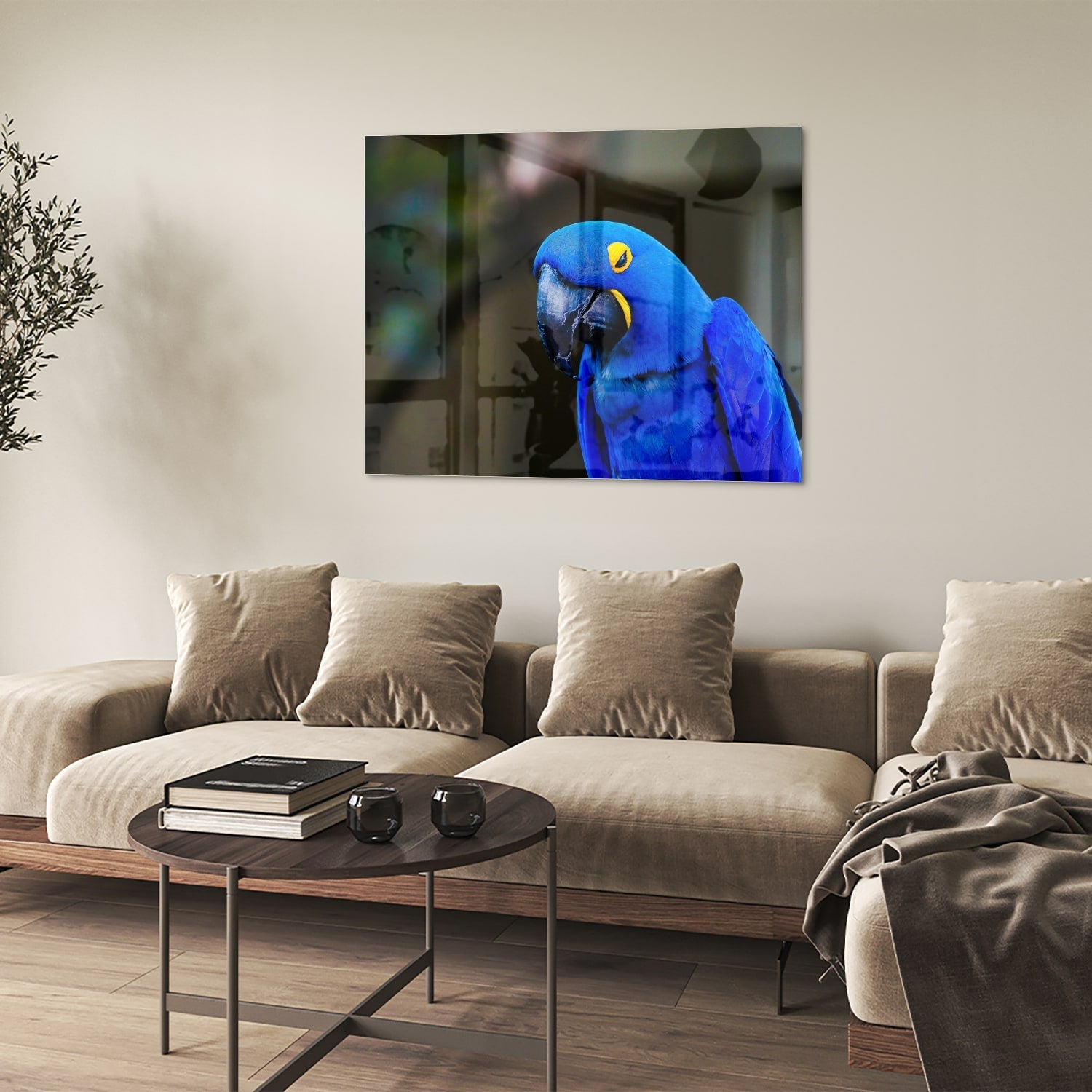 Glasbild mit einem wunderschönen blauen Ara