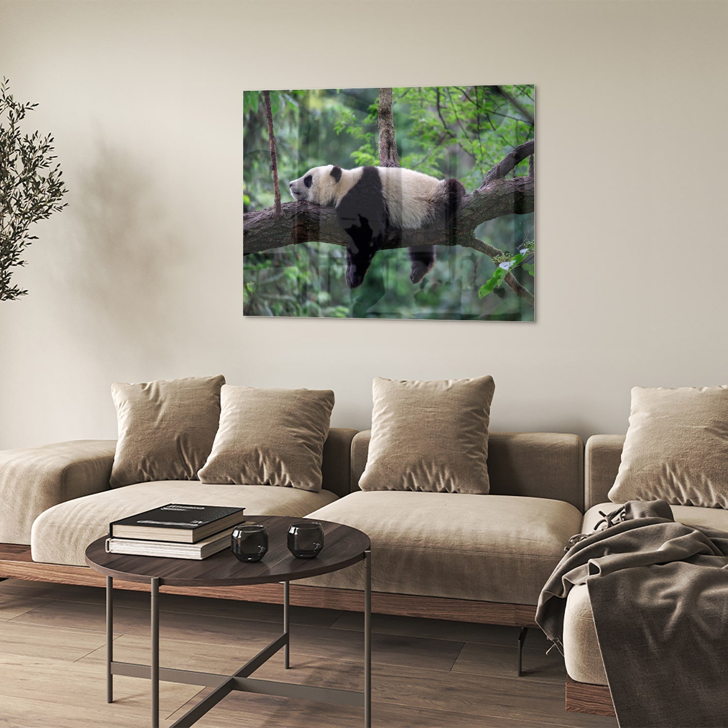 Glasbild mit entspanntem Panda auf einem Ast