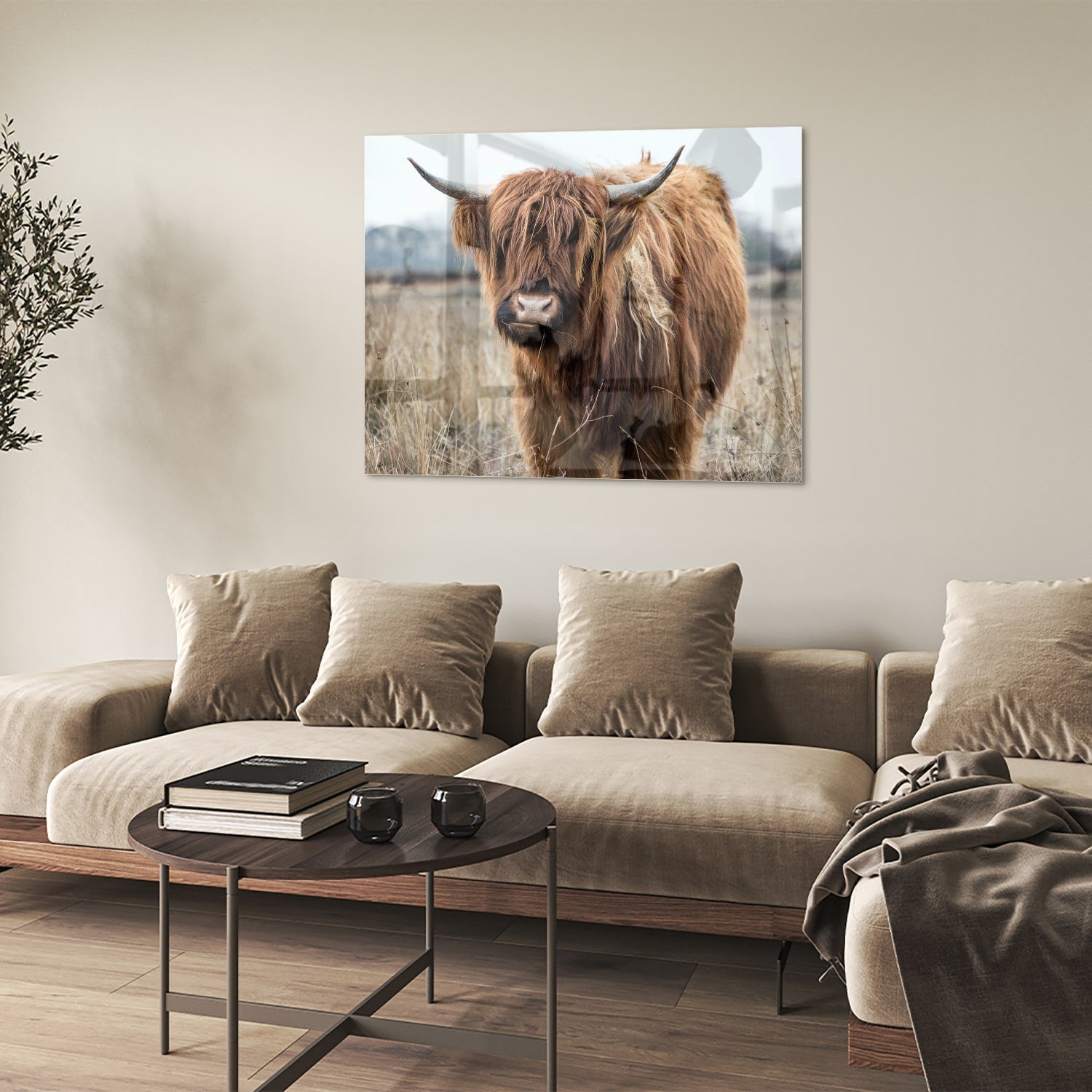 Glasbild mit Hochlandrind in Holzoptik