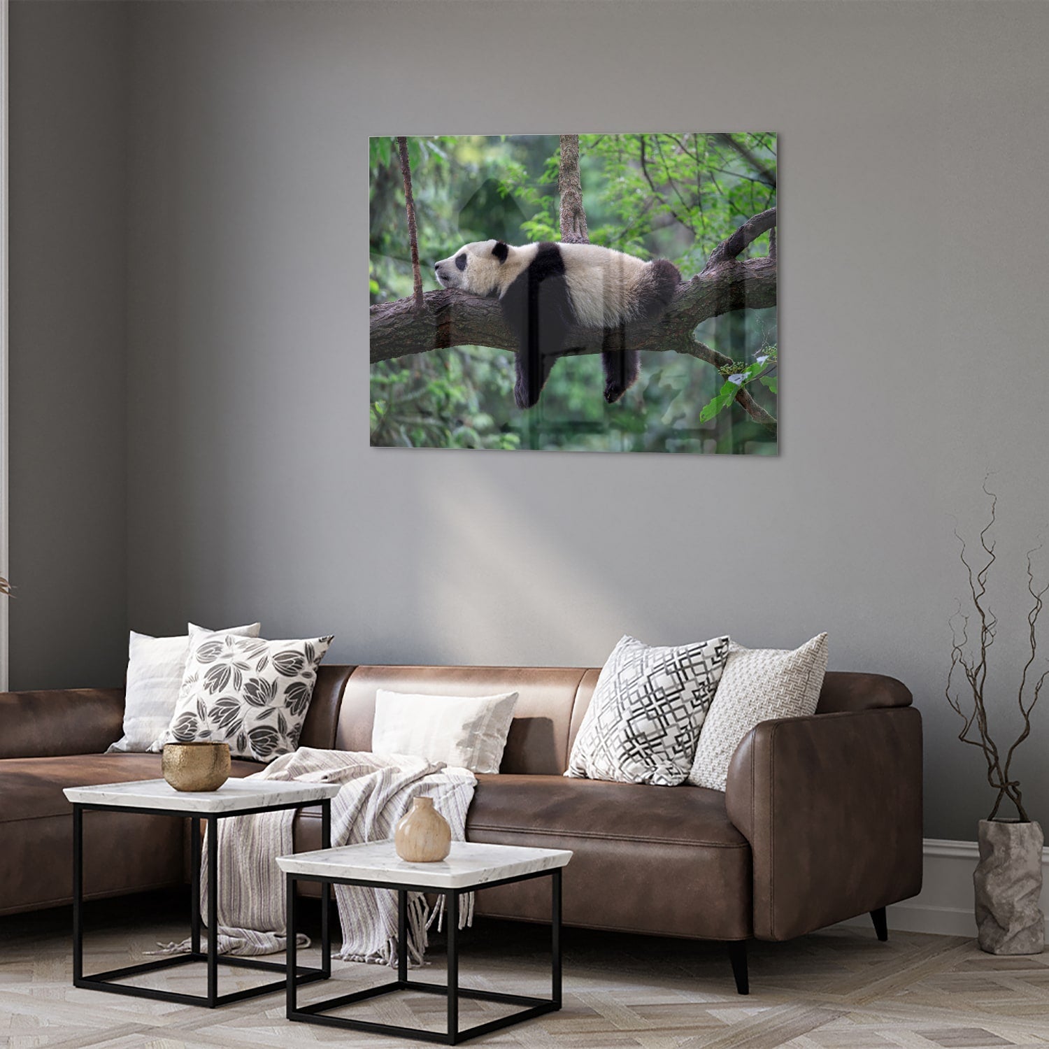 Glasbild mit entspanntem Panda auf einem Ast