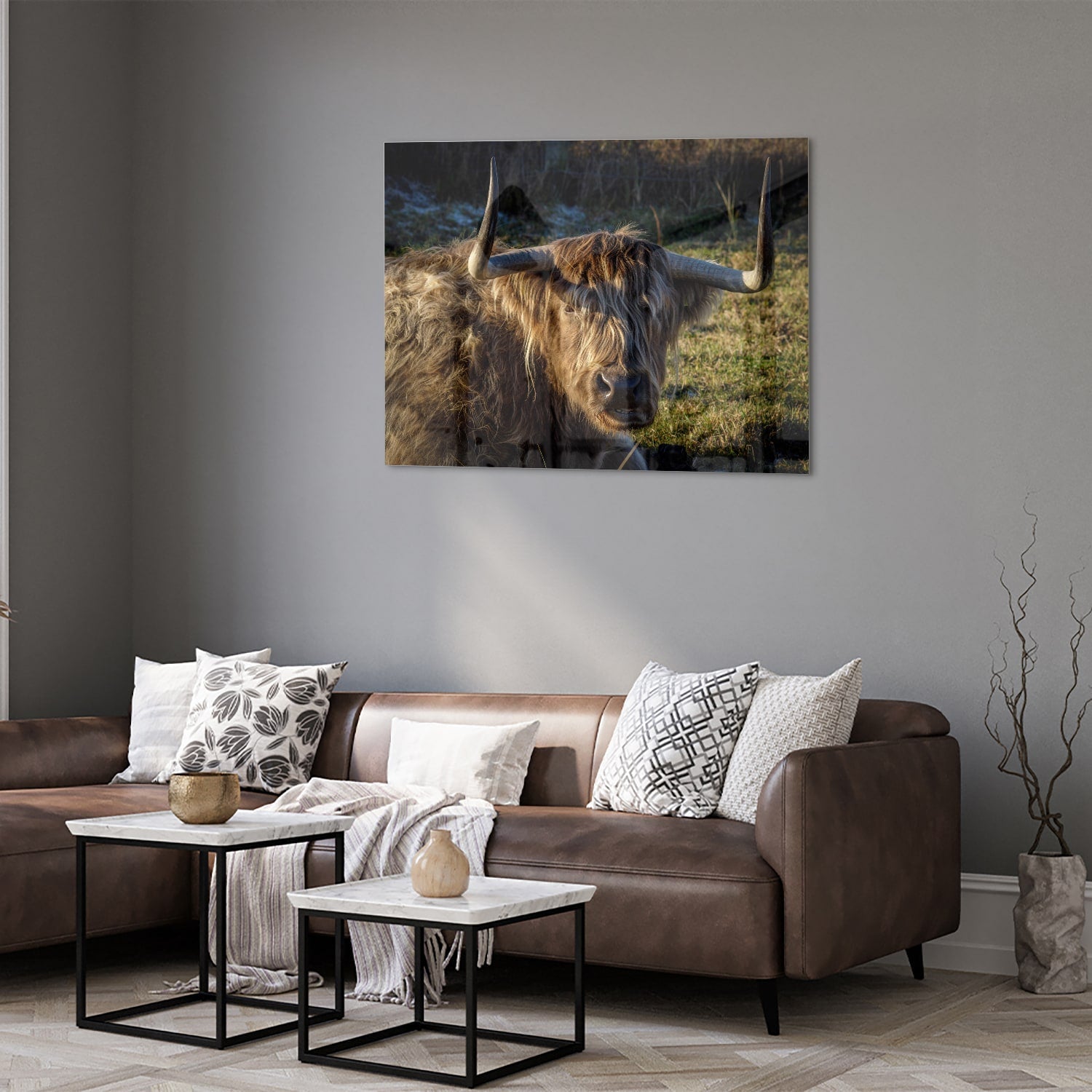 Glasbild mit einem Highland-Rind in natürlichem Licht