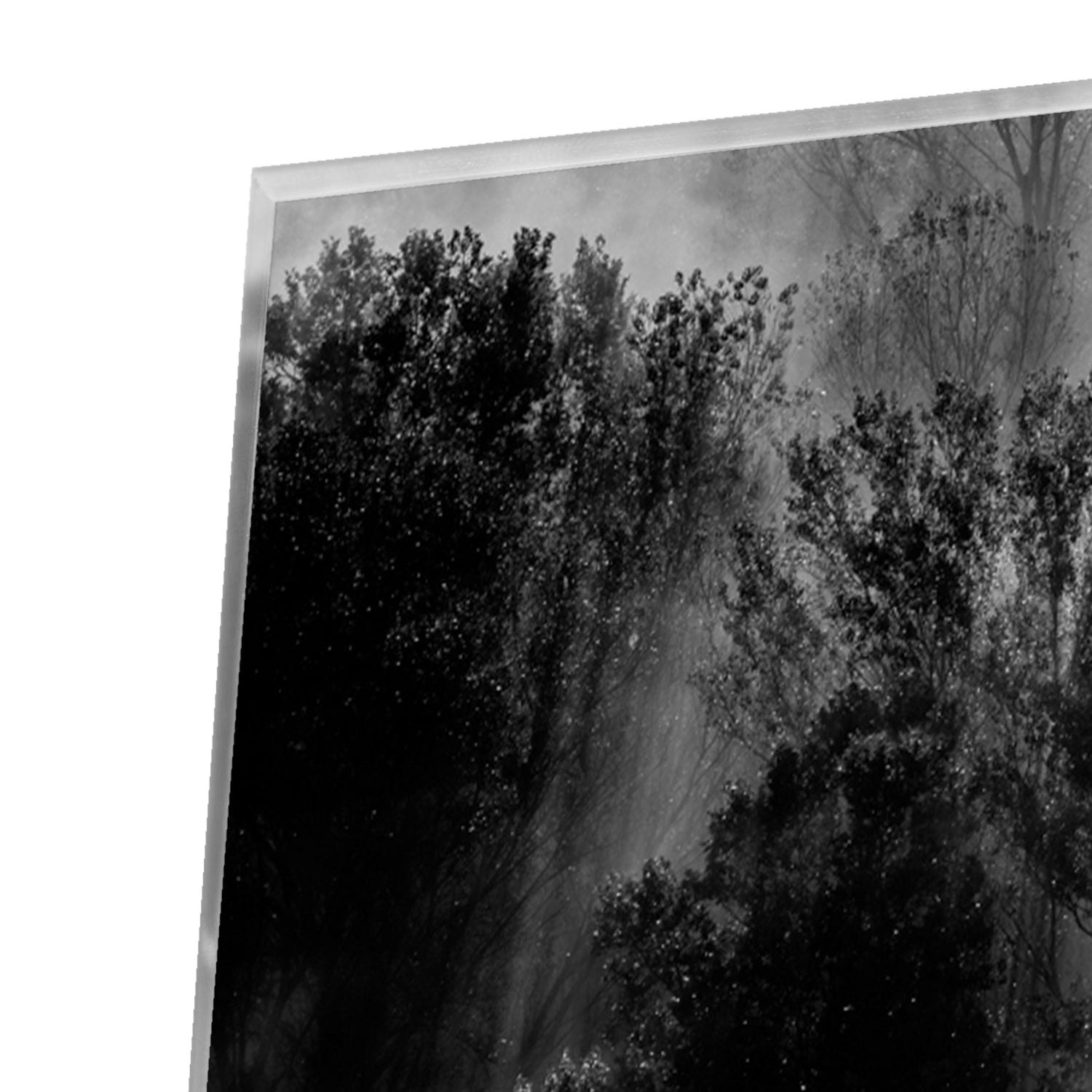Abstraktes Schwarz-Weiß-Glasbild mit Bäumen