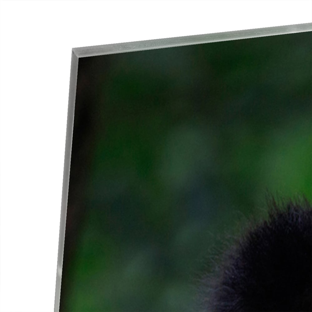 Glasbild mit einem niedlichen Panda in grüner Landschaft