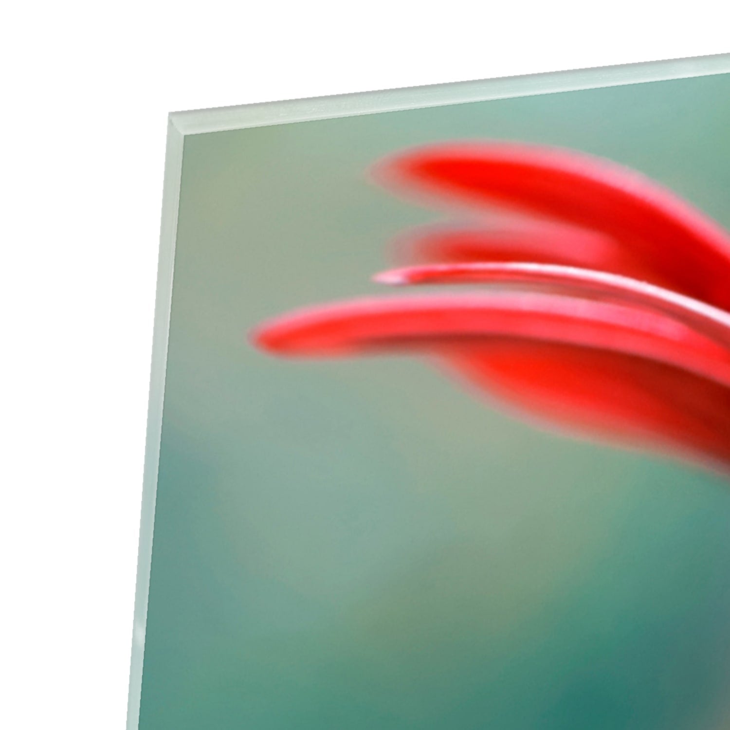 Glasbild mit einer Blume und einem Marienkäfer