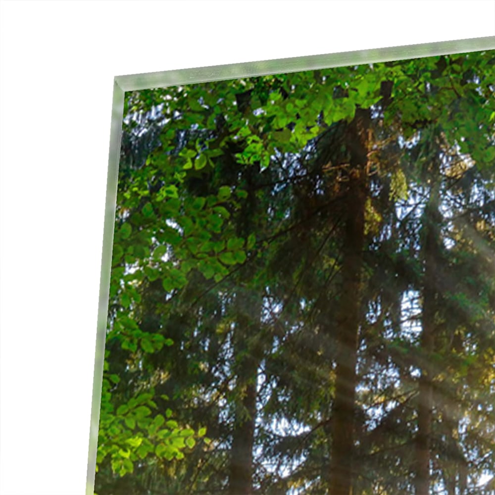 Glasbild mit sonnigem Wald für die Wohndekoration