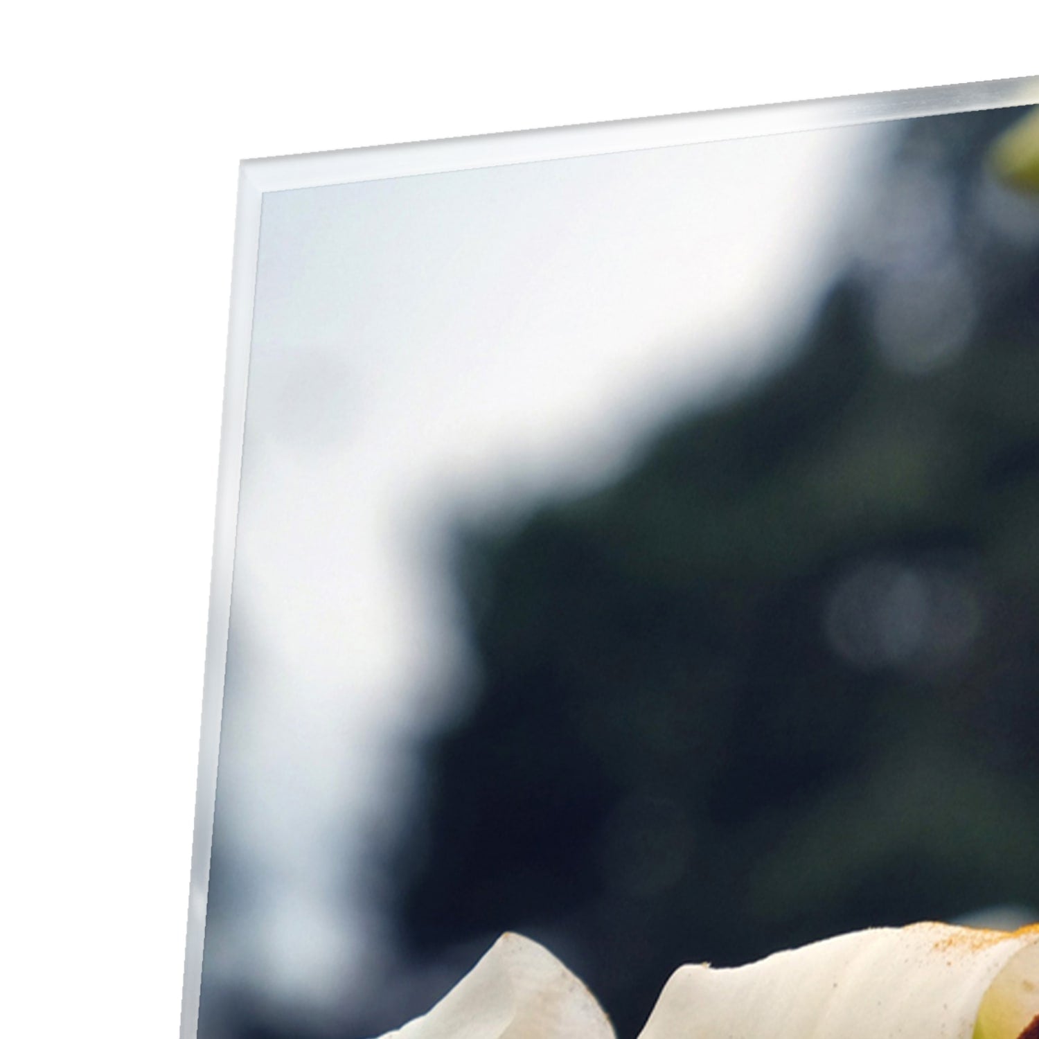 Elegantes Glasbild mit Lilien