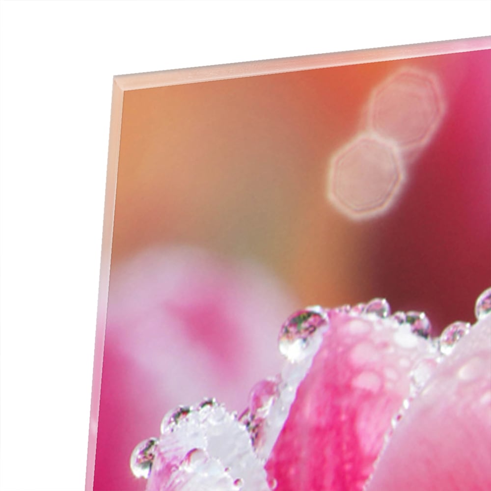 Glasbild mit bezaubernden rosa Tulpen