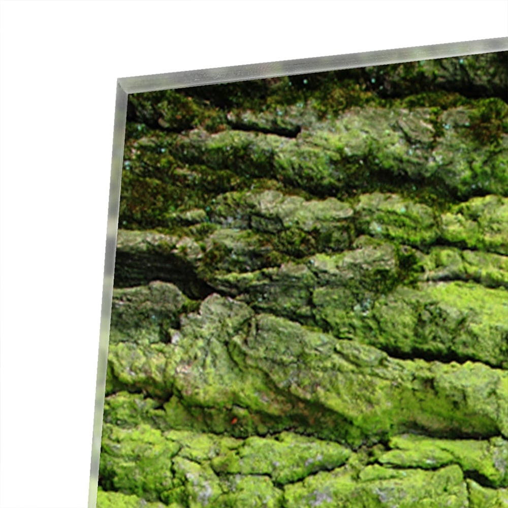 Glasbild mit moosartiger Textur