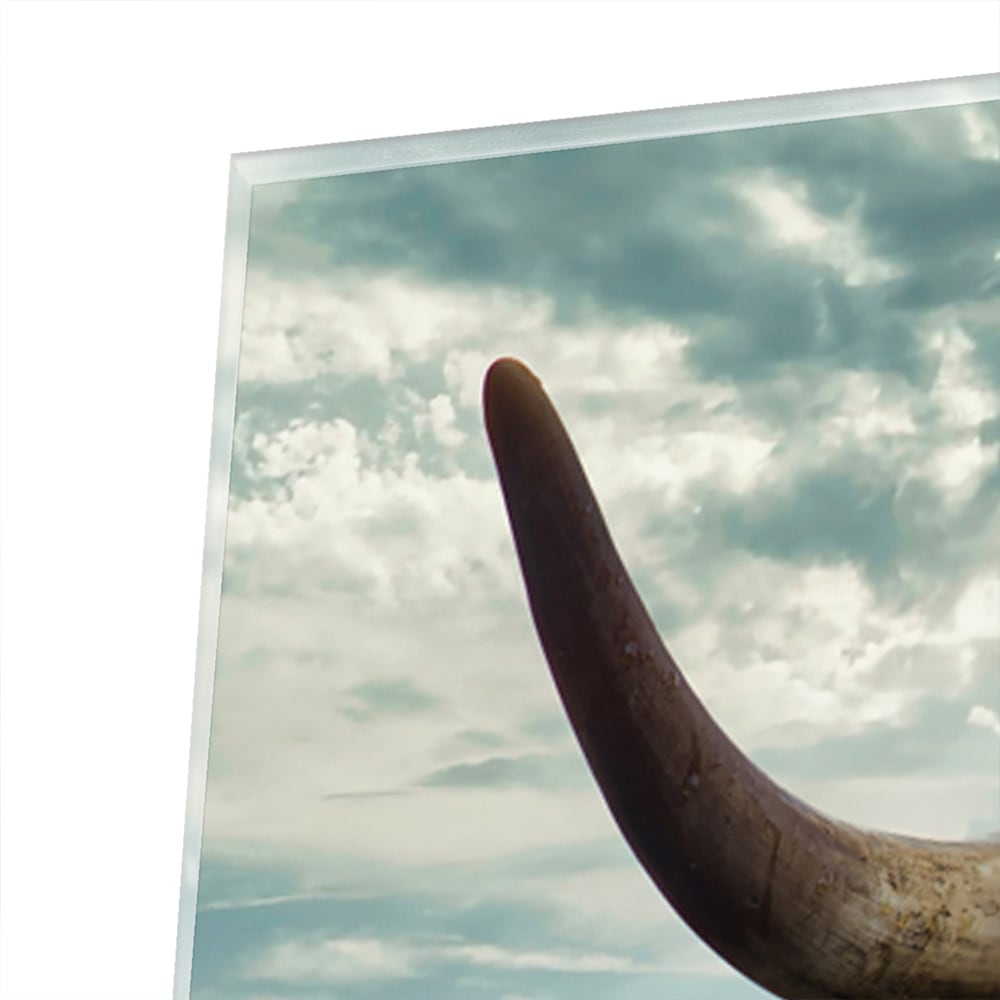 Glasbild mit einem Hochlandrind in der Natur