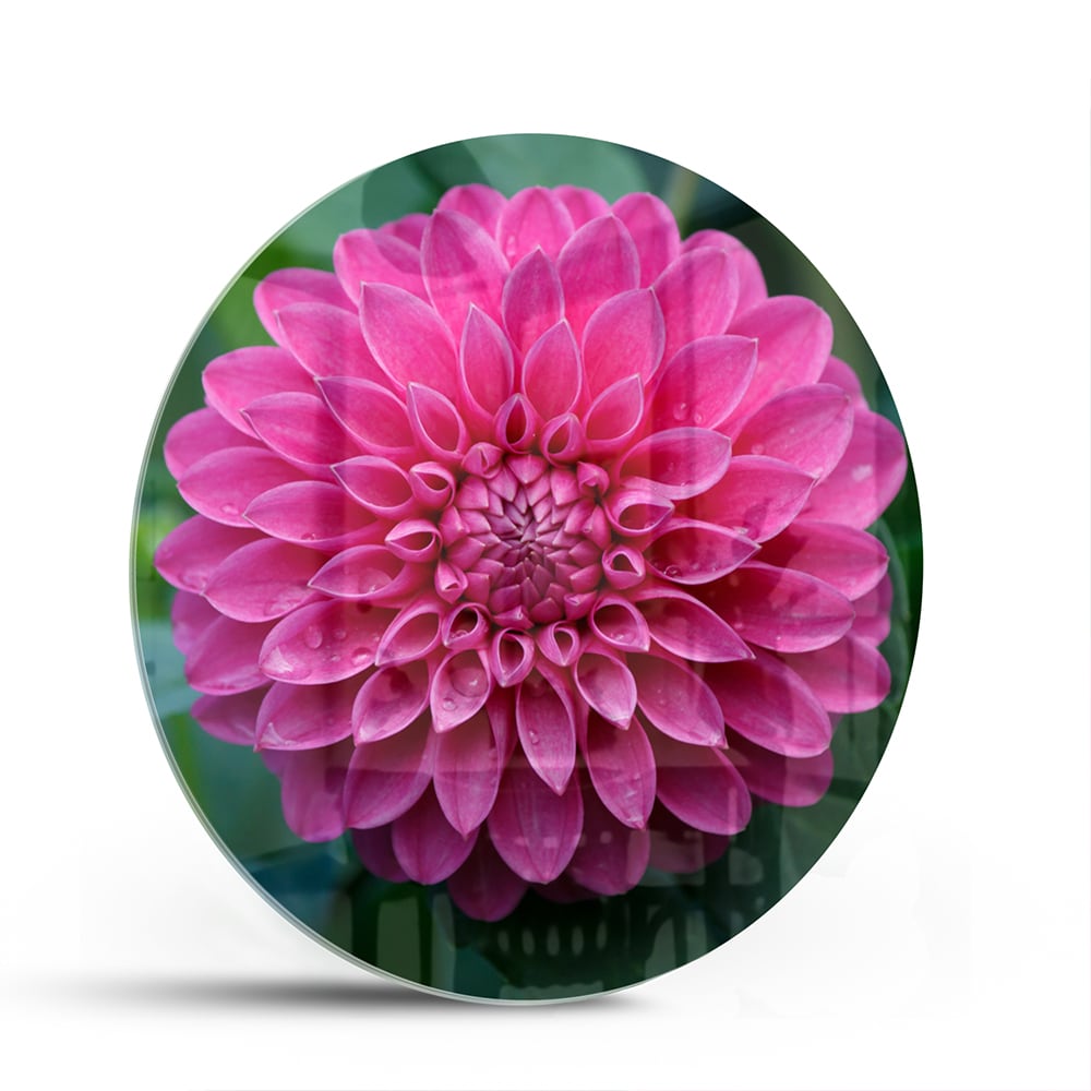 Wunderschönes Glasbild mit rosa Blume – Glasbild aus Sicherheitsglas, Größe 140x70
