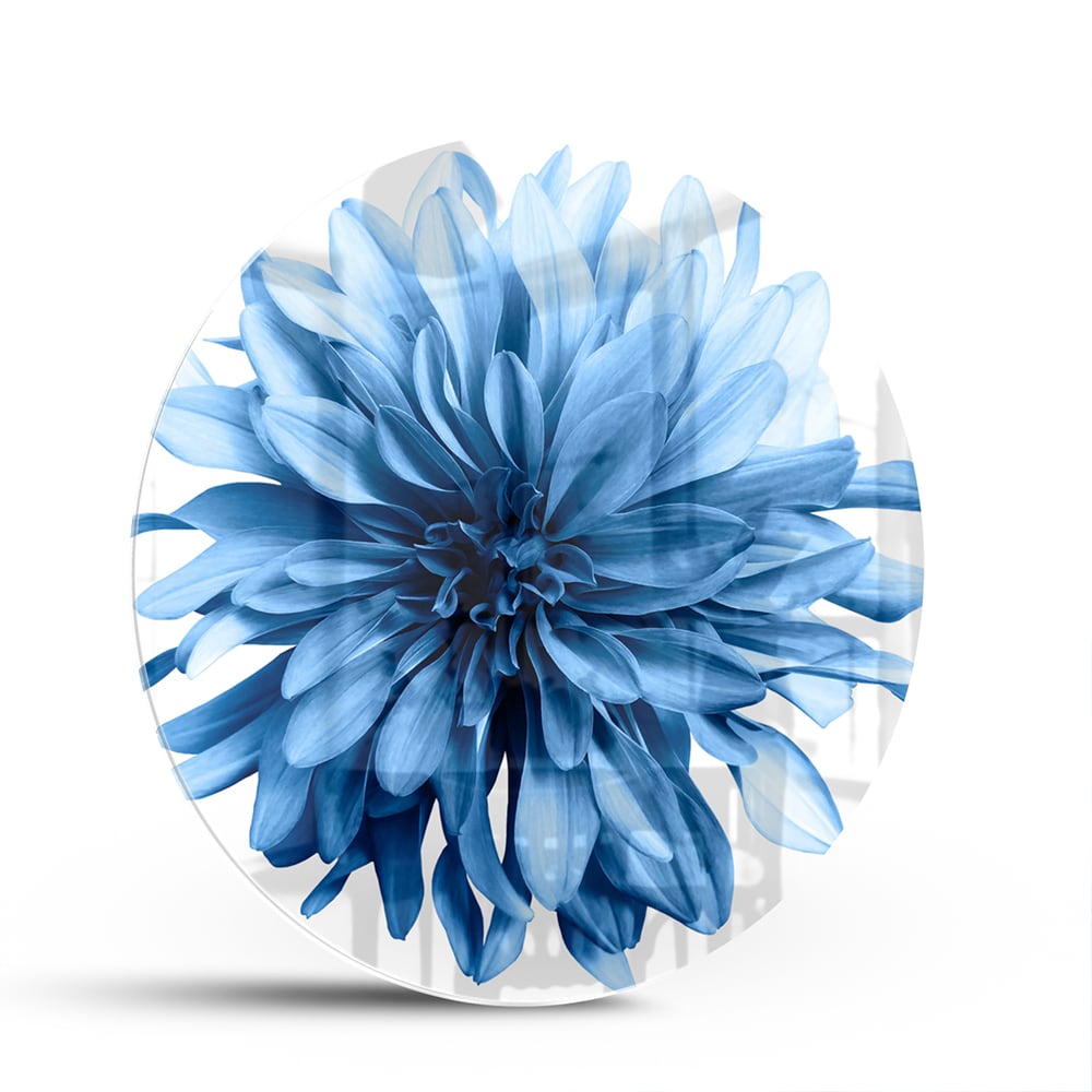 Blaues Glasbild mit einer Blume – Glasbild aus Sicherheitsglas, Größe 140x70