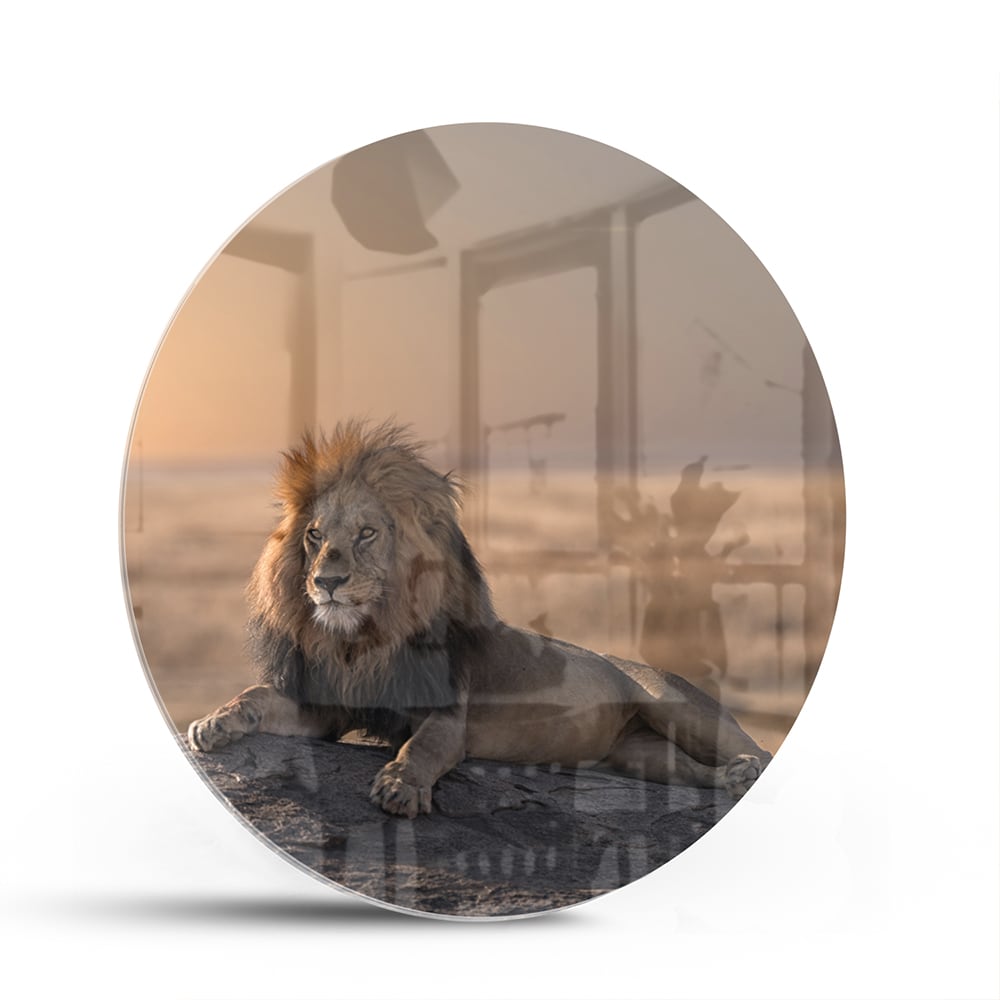 Glasbild – Majestätischer Löwe bei Sonnenuntergang – Glasbild aus Sicherheitsglas, Größe 140x70