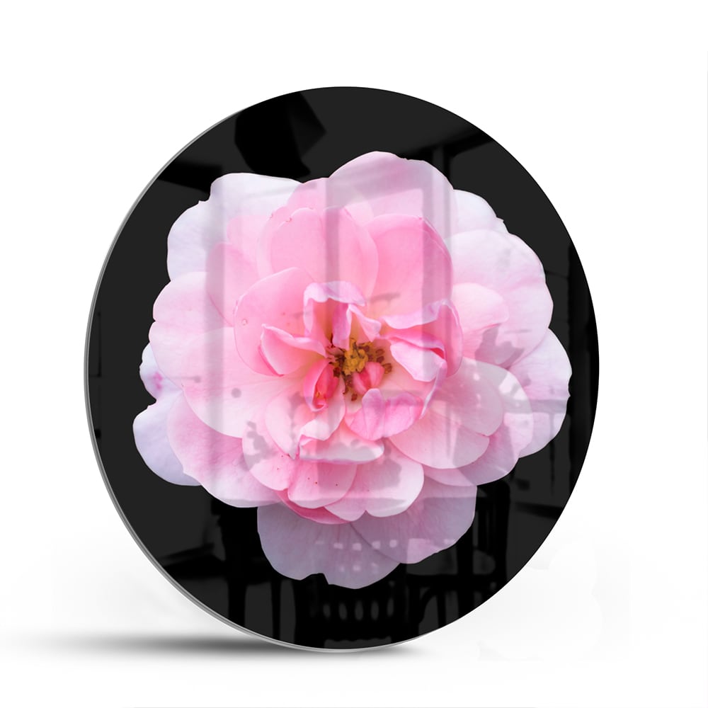 Elegantes Glasbild mit rosa Blume auf schwarzem Hintergrund – Glasbild aus Sicherheitsglas, Größe 140x70