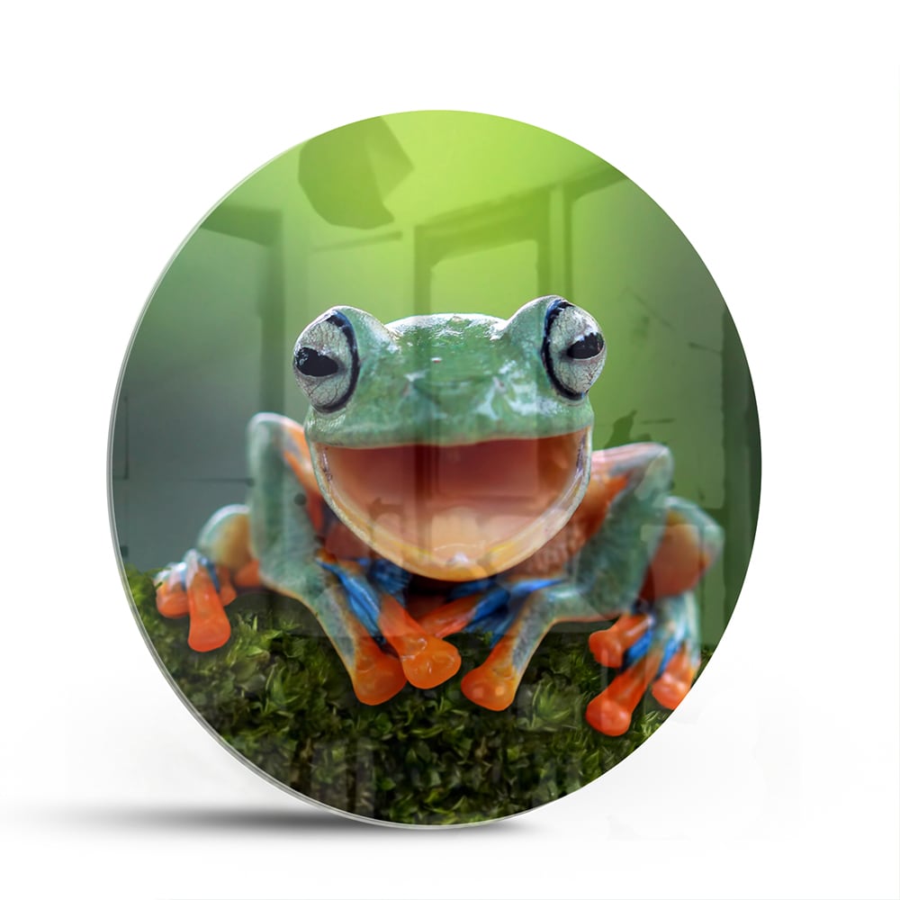 Fröhliches Glasbild mit Laubfrosch – Glasbild aus Sicherheitsglas, Größe 140x70