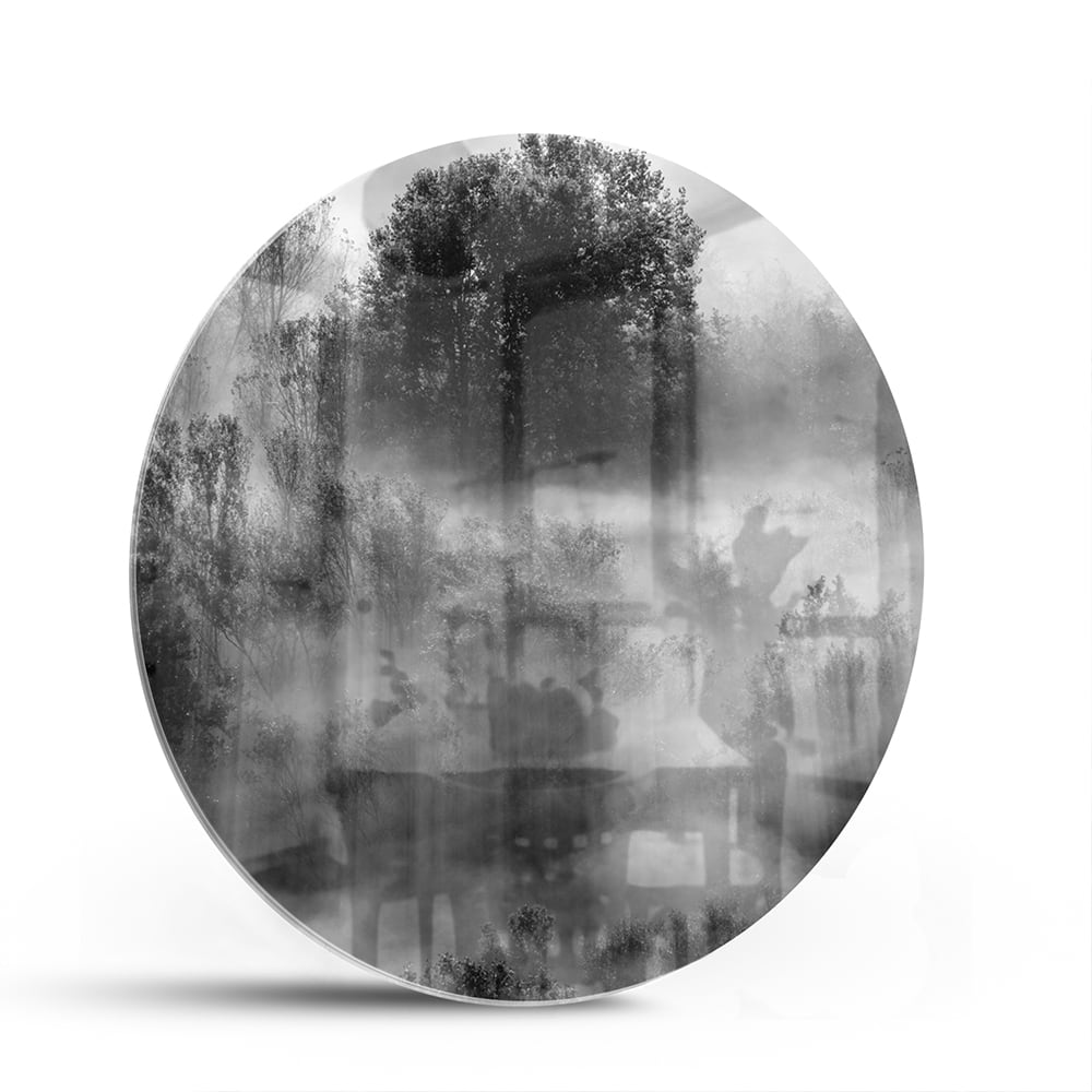 Abstraktes Schwarz-Weiß-Glasbild mit Bäumen – Glasbild aus Sicherheitsglas, Größe 140x70