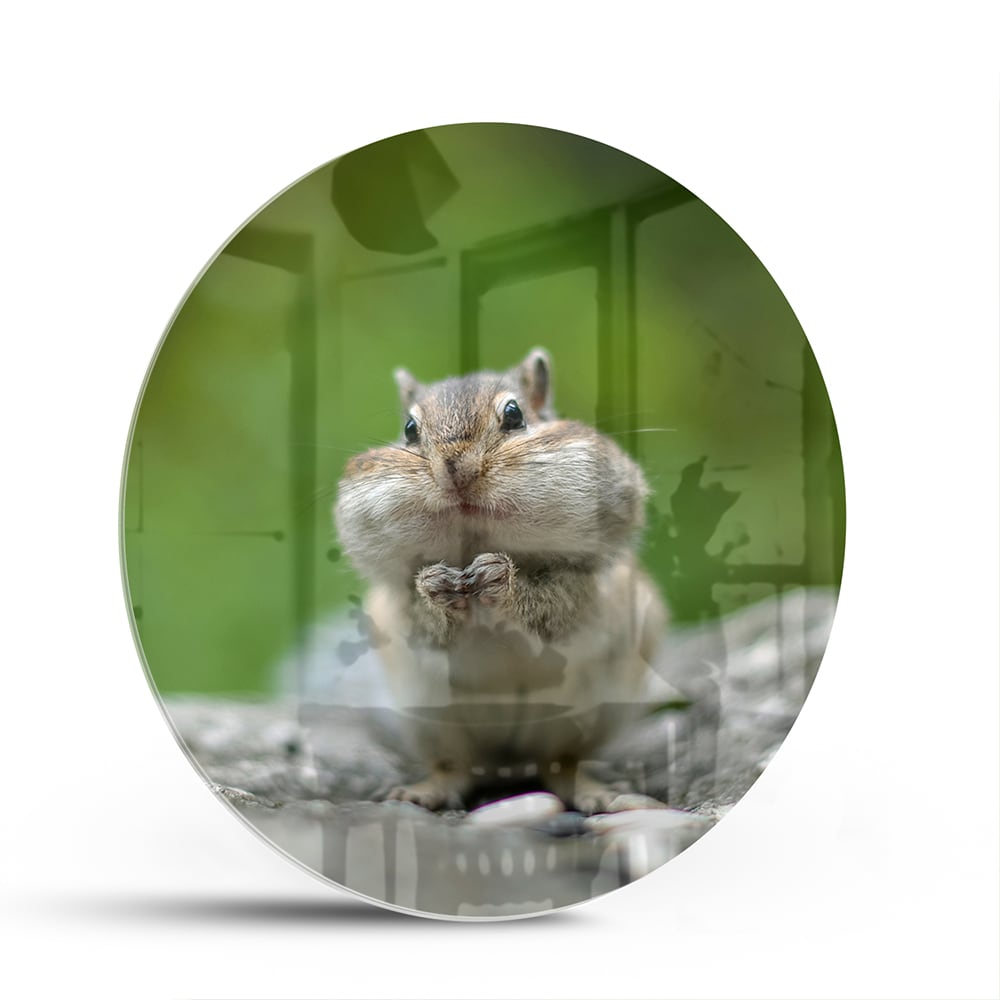 Niedliches Glasbild mit Eichhörnchen – Glasbild aus Sicherheitsglas, Größe 140x70