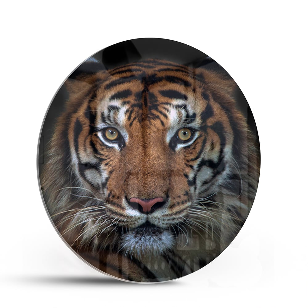Kraftvoller Tiger – Glasbild für Ihr Interieur – Glasbild aus Sicherheitsglas, Größe 140x70