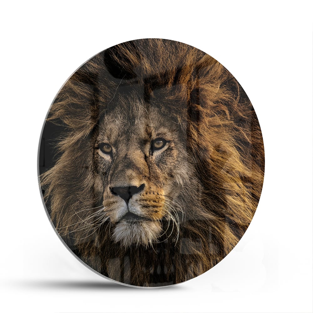 Glasbild mit majestätischem Löwen – Glasbild aus Sicherheitsglas, Größe 140x70