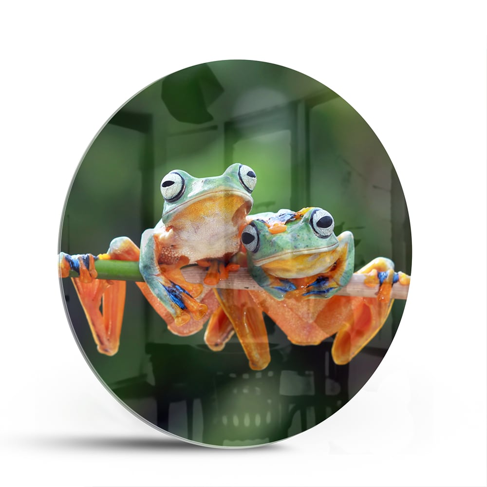 Fröhliches Glasbild mit Frosch auf einem Ast – Glasbild aus Sicherheitsglas, Größe 140x70