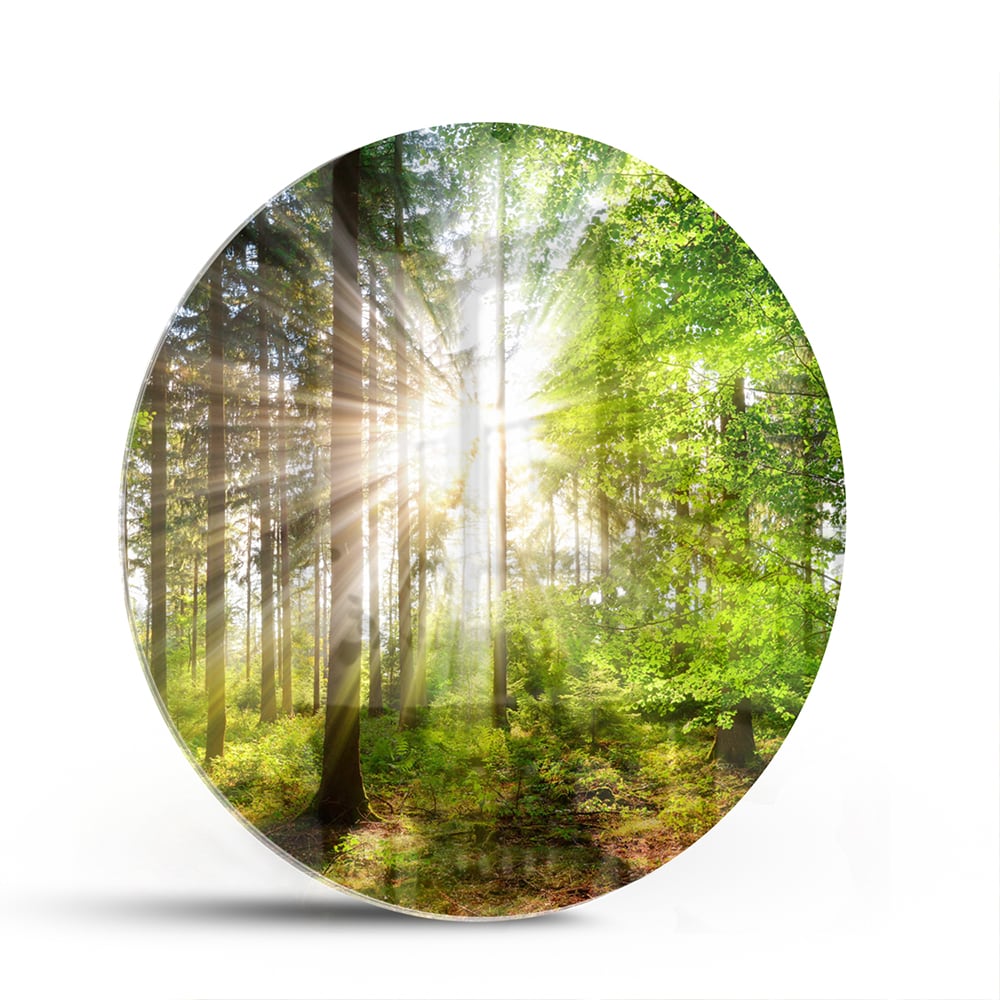 Glasbild mit sonnigem Wald für die Wohndekoration – Glasbild aus Sicherheitsglas, Größe 140x70