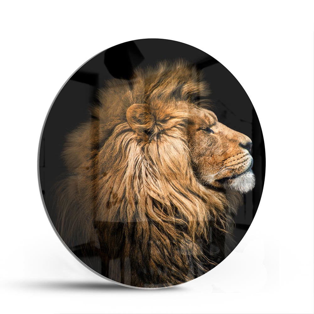Glasbild mit majestätischem Löwen – Glasbild aus Sicherheitsglas, Größe 140x70