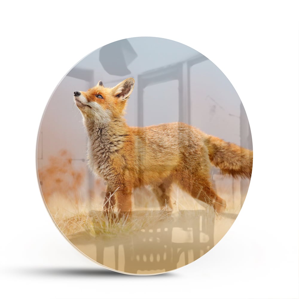 Stilvolles Glasbild mit einem Fuchs in der Natur – Glasbild aus Sicherheitsglas, Größe 140x70