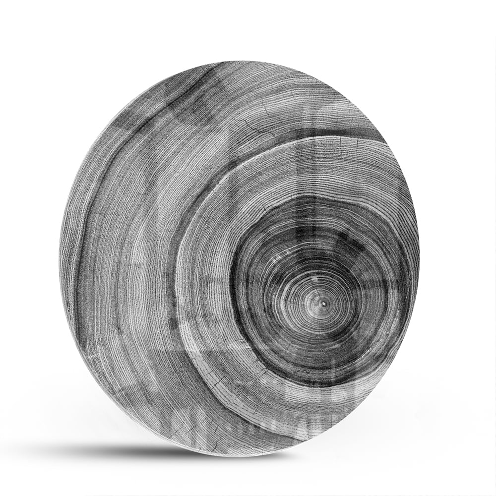Abstraktes graues Glasbild mit Kreisen – Glasbild aus Sicherheitsglas, Größe 140x70