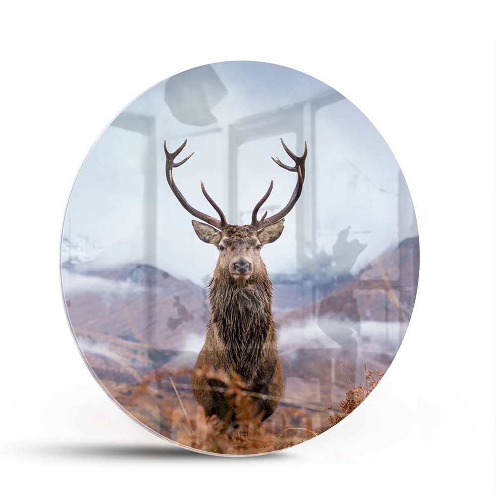 Glasbild mit majestätischem Hirsch in einer ruhigen Berglandschaft – Glasbild aus Sicherheitsglas, Größe 140x70