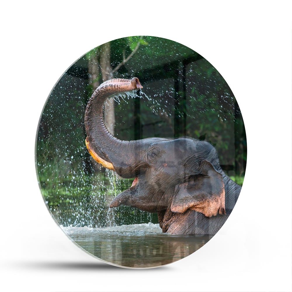 Wunderschönes Glasbild mit einem Elefanten im Wasser – Glasbild aus Sicherheitsglas, Größe 140x70