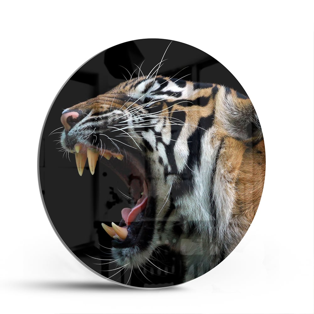 Beeindruckendes Glasbild mit einem brüllenden Tiger – Glasbild aus Sicherheitsglas, Größe 140x70