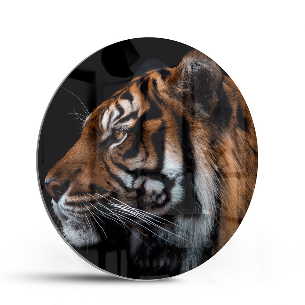 Glasbild mit majestätischen Tigern – Glasbild aus Sicherheitsglas, Größe 140x70