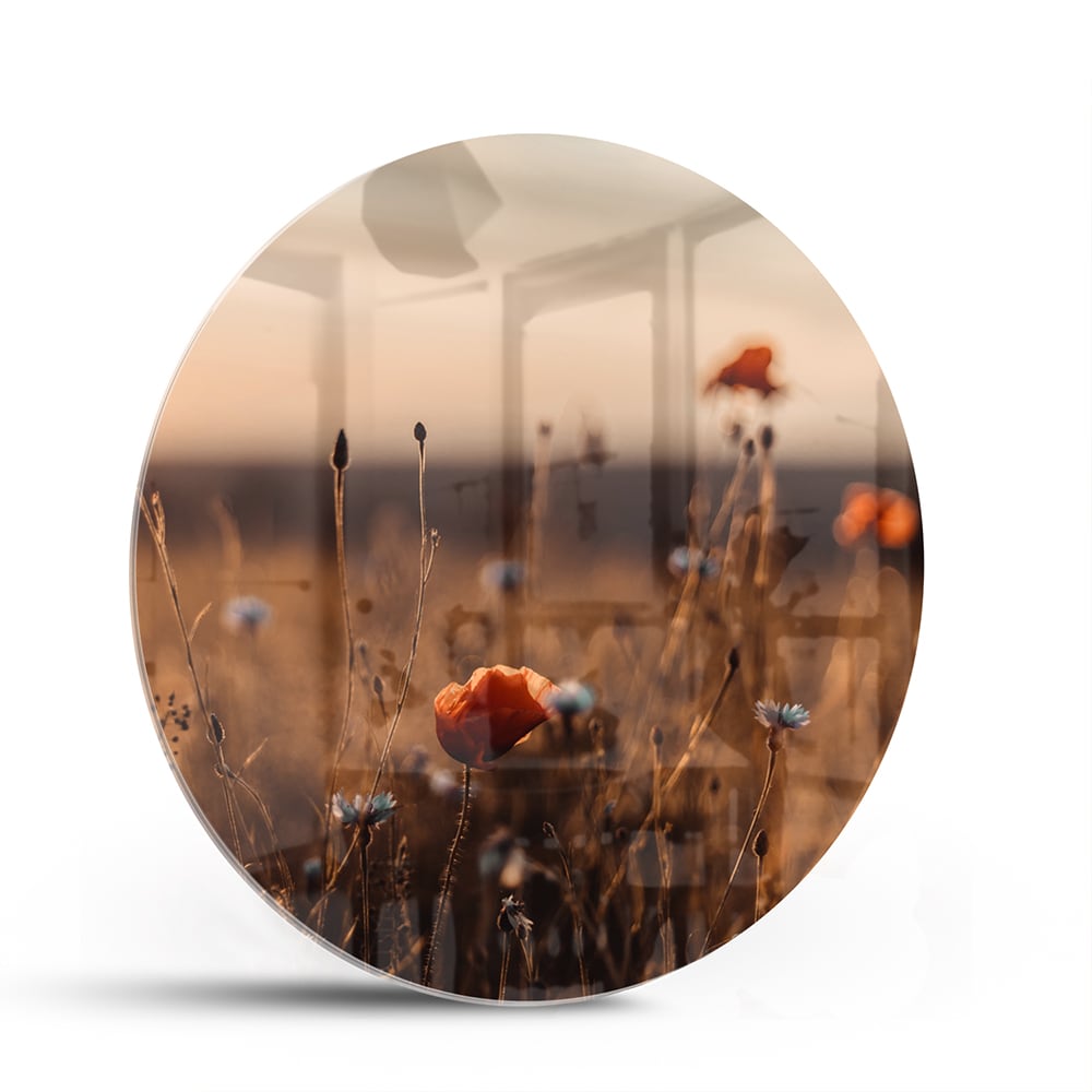 Glasbild – Mohnfeld in sanftem Glanz – Glasbild aus Sicherheitsglas, Größe 140x70