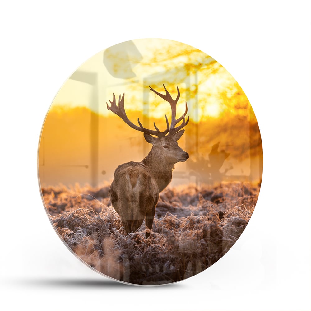 Glasbild mit einem Hirsch in der aufgehenden Sonne – Glasbild aus Sicherheitsglas, Größe 140x70