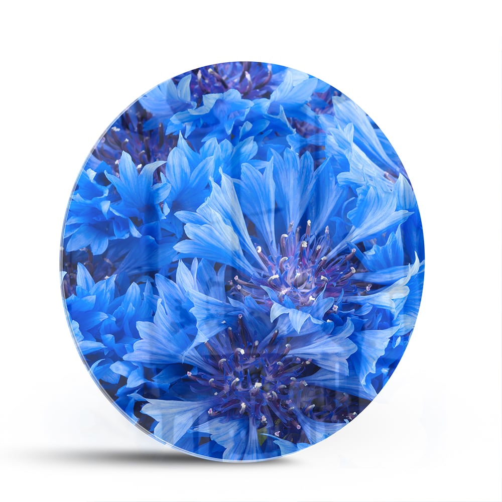 Blaues Glasbild mit Blumenmotiv – Glasbild aus Sicherheitsglas, Größe 140x70