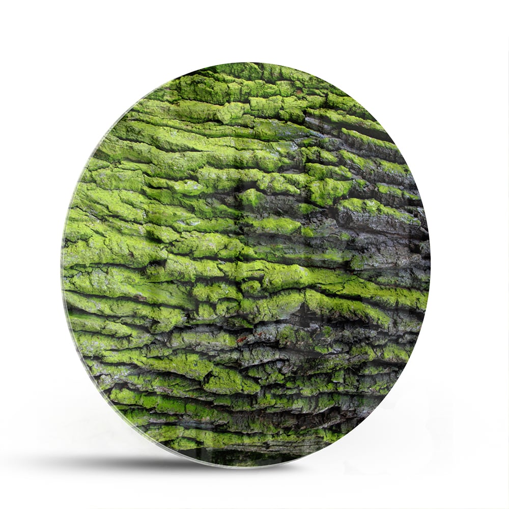 Glasbild mit moosartiger Textur – Glasbild aus Sicherheitsglas, Größe 140x70