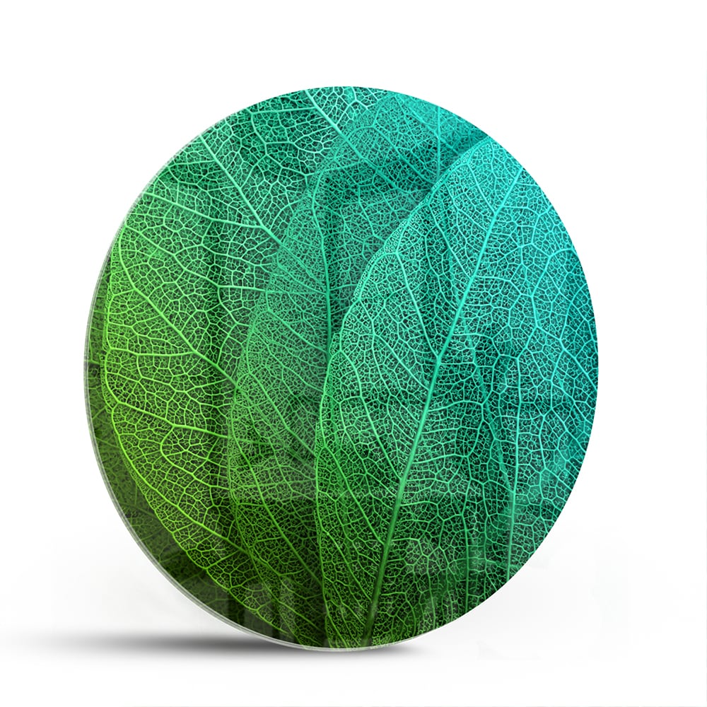 Glasbild mit strukturierter Oberfläche aus grünen Blättern – Glasbild aus Sicherheitsglas, Größe 140x70