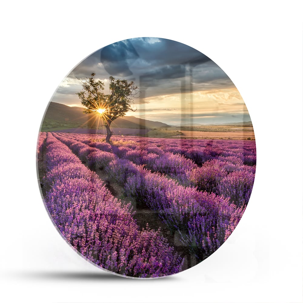 Glasbild mit violetten Lavendelfeldern bei Sonnenuntergang – Glasbild aus Sicherheitsglas, Größe 140x70