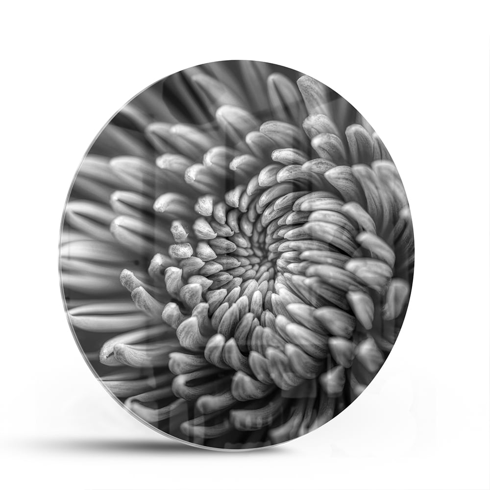 Schwarz-Weiß-Glasbild mit geschwungener Blume – Glasbild aus Sicherheitsglas, Größe 140x70