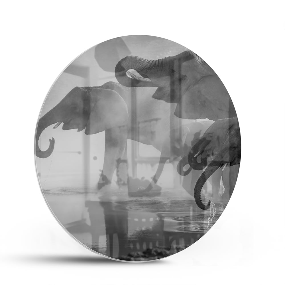 Glasbild mit majestätischen Elefanten – Glasbild aus Sicherheitsglas, Größe 140x70