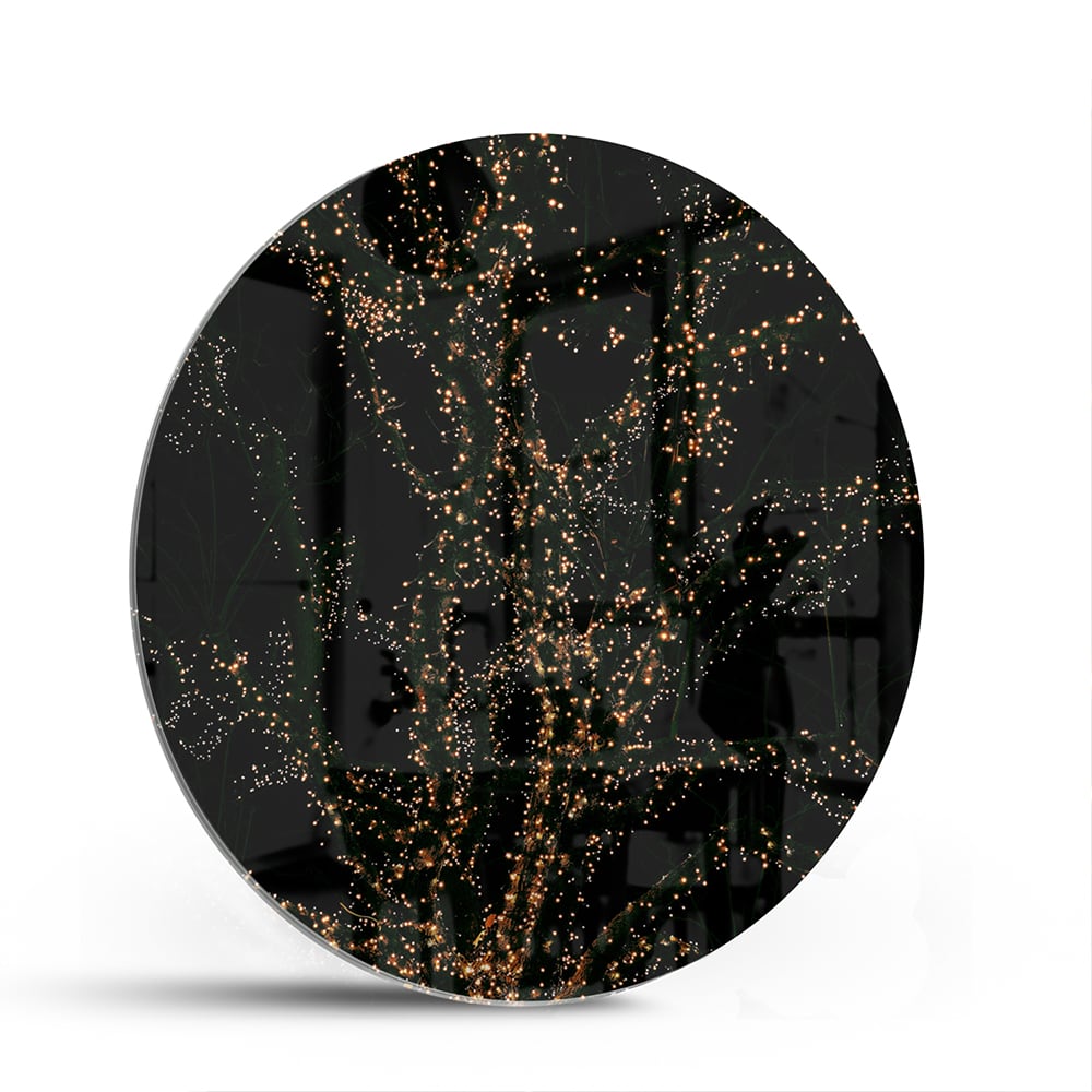 Glasbild mit goldenen Ästen auf schwarzem Hintergrund – Glasbild aus Sicherheitsglas, Größe 140x70
