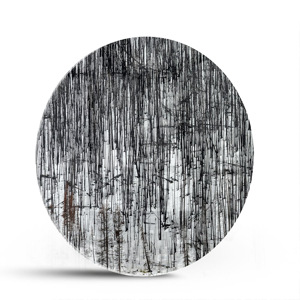 Minimalistisches Glasbild mit Bäumen – Glasbild aus Sicherheitsglas, Größe 140x70