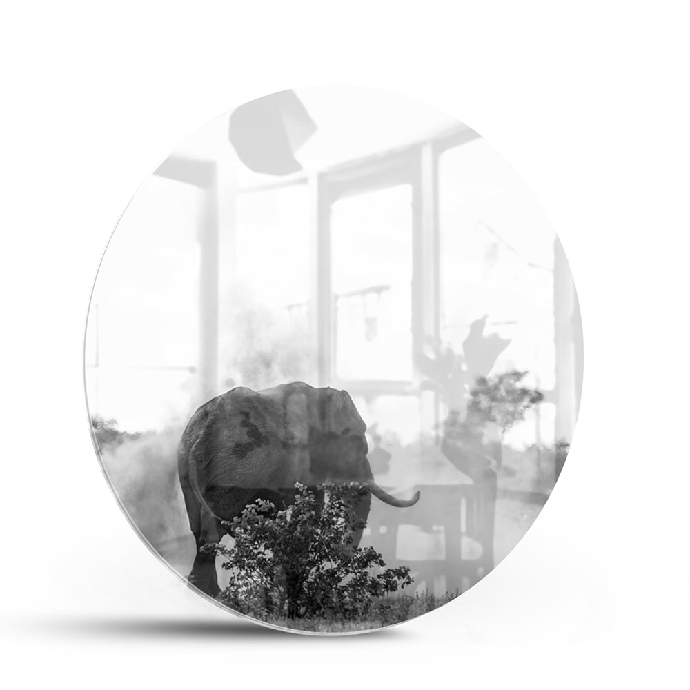 Elegantes Schwarz-Weiß-Glasbild mit einem Elefanten – Glasbild aus Sicherheitsglas, Größe 140x70