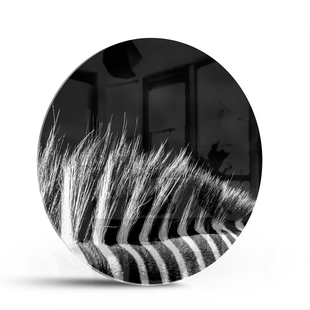 Modernes Schwarz-Weiß-Glasbild – Glasbild aus Sicherheitsglas, Größe 140x70