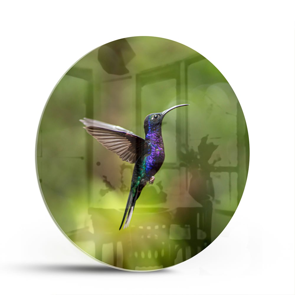 Glasbild mit fliegendem Kolibri inmitten grüner Ruhe – Glasbild aus Sicherheitsglas, Größe 140x70